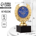 УЦЕНКА Кубок «Лучший папа», наградная фигура, пластик, золото, 13×8×5 см - Фото 1