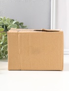 Фигурка полистоун «Лягушонок на коряге с улиткой на голове», 9.5 см  (артикул 10927843)  большой выбор товаров оптом и в розницу по низким ценам с доставкой