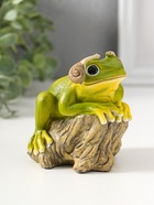 Фигурка полистоун «Лягушонок на коряге с улитками на ушах», 9.5 см  (артикул 10927845)  большой выбор товаров оптом и в розницу по низким ценам с доставкой