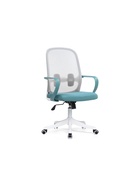 Bust gray/blue/white