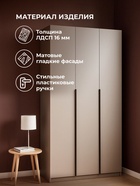 Шкаф трёхстворчатый «Даиго», 1201×506×2216 мм, цвет меланж - фото 122244943