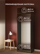 Шкаф двухстворчатый «Даиго», 801×506×2216 мм, цвет графит серый - фото 122244976