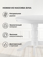 Стол кухонный деревянный овальный раздвижной «Эвклаз», 1600(2000)×900×770 мм, цвет белый  (артикул 10998199)  большой выбор товаров оптом и в розницу по низким ценам с доставкой