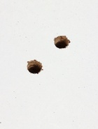 УЦЕНКА Кровать детская BONNE маятник с ящиком (белый) (1200×600) - Фото 23