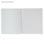 Тетрадь «Зелёная обложка» 12 листов, в крупную клетку, серые листы, обложка плотностью 58-63 г/м² - Фото 2