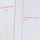 Тетрадь «Зелёная обложка» 12 листов, в крупную клетку, серые листы, обложка плотностью 58-63 г/м² - Фото 3