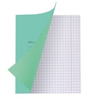 Тетрадь «Зелёная обложка» 12 листов, в крупную клетку, белые листы, обложка плотностью 82 г/м² - Фото 3