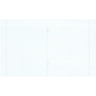 Тетрадь «Зелёная обложка» 12 листов, в крупную клетку, белые листы, обложка плотностью 60 г/м² - Фото 2