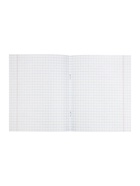Тетрадь «Зелёная обложка» 12 листов, в крупную клетку, белые листы, обложка плотностью 60 г/м² 10996327 - фото 9215431