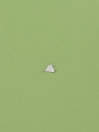 УЦЕНКА Сервиз столовый 9 шт. «Пастель» 3 тар 19 см, 2 тар 27 см, 4 мисок 19 см, зелёная - Фото 4