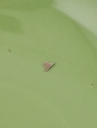 УЦЕНКА Сервиз столовый 9 шт. «Пастель» 3 тар 19 см, 2 тар 27 см, 4 мисок 19 см, зелёная - Фото 5