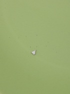 УЦЕНКА Сервиз столовый 9 шт. «Пастель» 3 тар 19 см, 2 тар 27 см, 4 мисок 19 см, зелёная - Фото 6