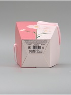 Переноска для цветов на лентах «Подарок», 17×25×9 см - Фото 6