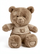 Мягкая игрушка «Медведь Отис, в свитере», бурая, 25 см - фото 122245379