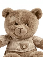 Мягкая игрушка «Медведь Отис, в свитере», бурая, 25 см - фото 122245380