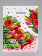 Пакет подарочный «Март», полиэтиленовый с вырубной ручкой, 31×40 см, 60 мкм - Фото 1