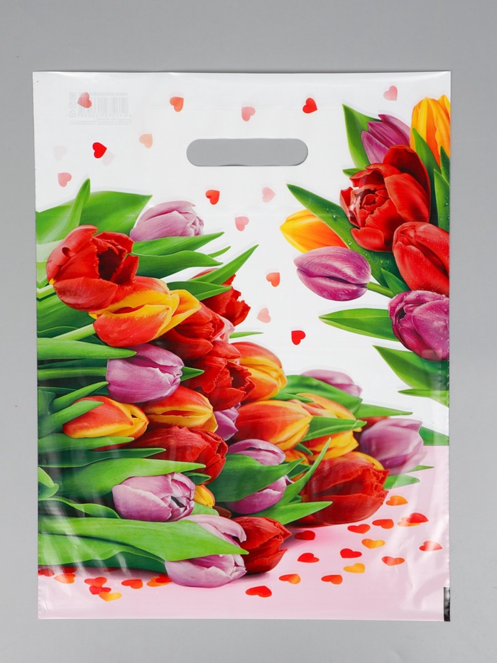 Пакет подарочный «Март», полиэтиленовый с вырубной ручкой, 31×40 см, 60 мкм - Фото 1