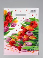 Пакет подарочный «Март», полиэтиленовый с вырубной ручкой, 31×40 см, 60 мкм - Фото 2