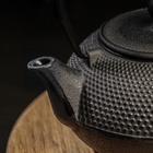 УЦЕНКА Чайник Magma «Восточная ночь» 600 мл с ситом, эмалированный внутри - Фото 6