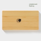 УЦЕНКА Набор для специй на дерев подставке 2 шт. «Bella Tenero» 100 мл солонка, 100 мл перечница 538 - Фото 9