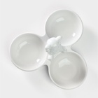 УЦЕНКА Менажница «Мишка Отто», 20.5×20.5×10 см - Фото 3