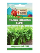 Семена Сельдерей «черешковый Атлант», 0.5 г, «Рецепты дедушки Никиты» - Фото 1