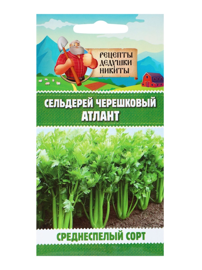 Семена Сельдерей «черешковый Атлант», 0.5 г, «Рецепты дедушки Никиты» - Фото 1