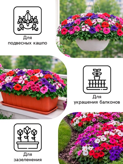 Семена цветов Петуния «Гибридная смесь», 0.05 г, «Рецепты дедушки Никиты»