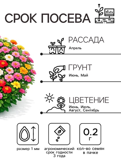 Семена цветов Цинния «Дюймовочка», 0.2 г, «Рецепты дедушки Никиты»