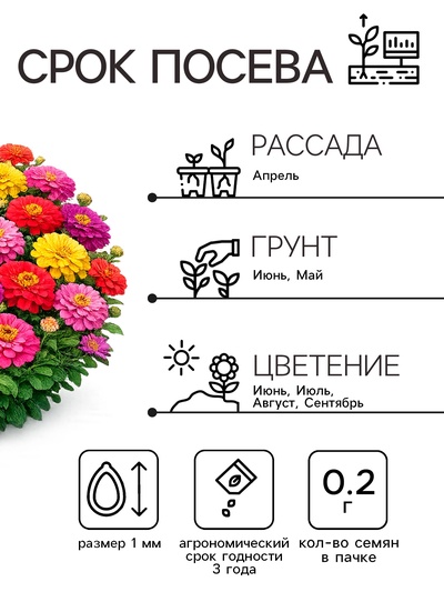 Семена цветов Цинния «Калифорнийские гиганты», смесь, 0.2 г, «Рецепты дедушки Никиты»