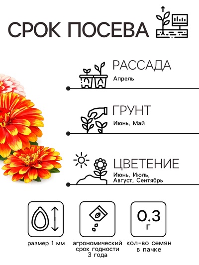 Семена цветов Цинния «Карусель», смесь 0.3 г, «Рецепты дедушки Никиты»