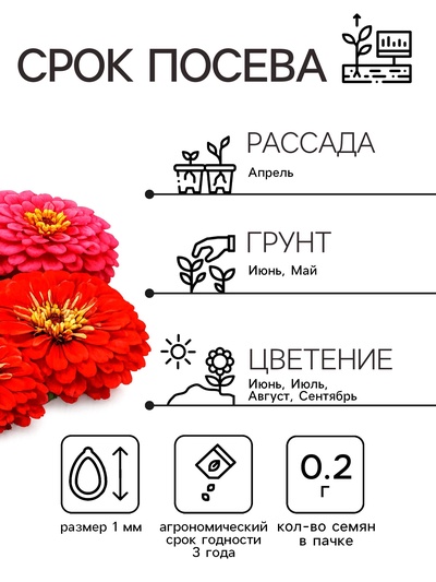 Семена цветов Цинния «Фейерверк», смесь, 0.2 г, «Рецепты дедушки Никиты»