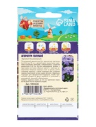 Семена цветов Агератум, голубой, 0.1 г, «Рецепты дедушки Никиты» - Фото 2