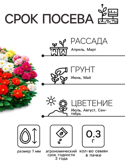 Семена цветов Георгина «Фараон», смесь окрасок, 0.3 г, «Рецепты дедушки Никиты»