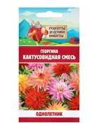 Семена цветов Георгина «Кактусовидная смесь», 0.1 г, «Рецепты дедушки Никиты» - Фото 1