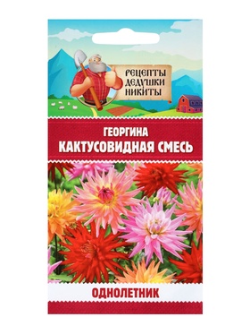 Семена цветов Георгина «Кактусовидная смесь», 0.1 г, «Рецепты дедушки Никиты»