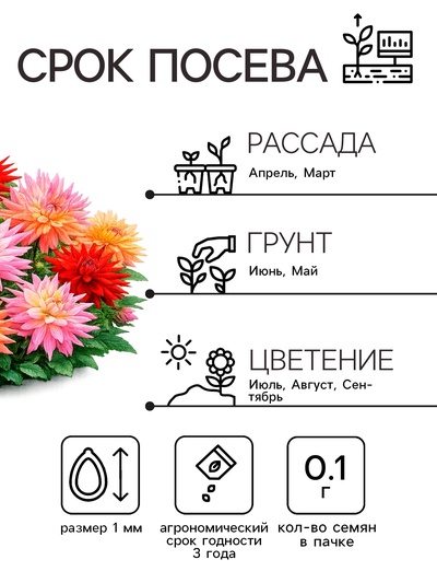 Семена цветов Георгина «Кактусовидная смесь», 0.1 г, «Рецепты дедушки Никиты»