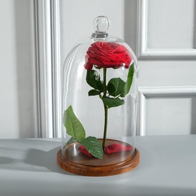 {{photo.Alt || photo.Description || 'УЦЕНКА Стеклянный купол-клош с шариком на подставке «Родрик», 29×15 см, стекло, коричневый'}}