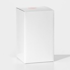 УЦЕНКА Колба для френч-пресса Доляна «Классика», 600 мл, d=8.6 см, стекло - Фото 4