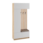 Прихожая Сева, 1000х400х2200, Белый/Дуб крафт 10996561