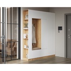 Прихожая Сева, 1000х400х2200, Белый/Дуб крафт 10996561