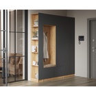 Прихожая Сева, 1000х400х2200, Графит/Дуб крафт 10996562