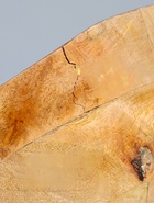 УЦЕНКА Салатник "Желтые и синие цветы" дерево манго 23х23х10,5 см - Фото 6