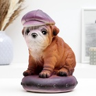 УЦЕНКА Копилка "Собака в кепке" 19см - Фото 1