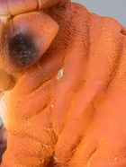 УЦЕНКА Копилка "Собака в кепке" 19см - Фото 7