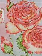 Пакет подарочный прозрачный «Розы», 22×10×24 см  (артикул 10957231)  большой выбор товаров оптом и в розницу по низким ценам с доставкой