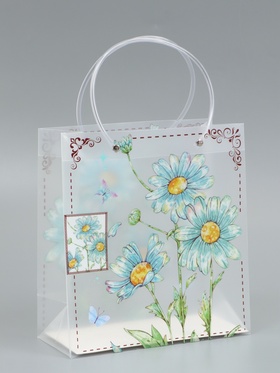 Пакет подарочный прозрачный «Ромашки-васельки», 22×10×24 см