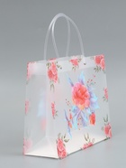 Пакет подарочный прозрачный «Красота», 30×26×12 см  (артикул 10957235)  большой выбор товаров оптом и в розницу по низким ценам с доставкой