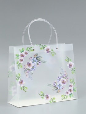 Пакет подарочный прозрачный «Счастье», 30×26×12 см