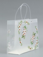 Пакет подарочный прозрачный «Самой лучшей», 30×26×12 см  (артикул 10957237)  большой выбор товаров оптом и в розницу по низким ценам с доставкой